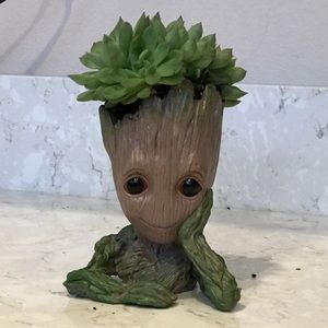 Meet your Posher, Allyson